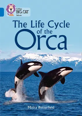 Collins Big Cat - The Life Cycle of the Orca: Band 16/Sapphire