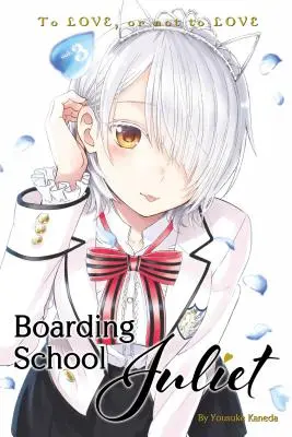 Szkoła z internatem Juliet 3 - Boarding School Juliet 3