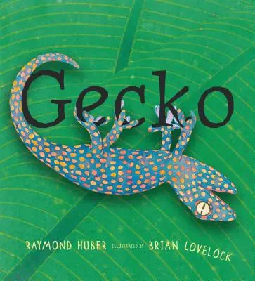 Gekon - Gecko