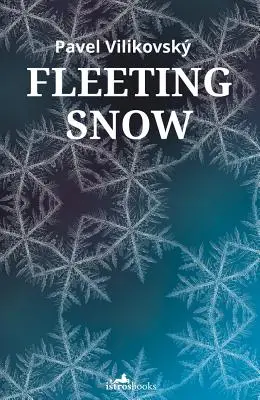 Ulotny śnieg - Fleeting Snow