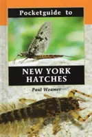 Kieszonkowy przewodnik po nowojorskich kapeluszach - Pocketguide to New York Hatches