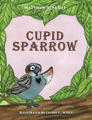 Wróbel Kupidyn - Cupid Sparrow