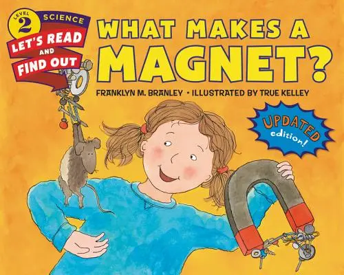 Co tworzy magnes? - What Makes a Magnet?