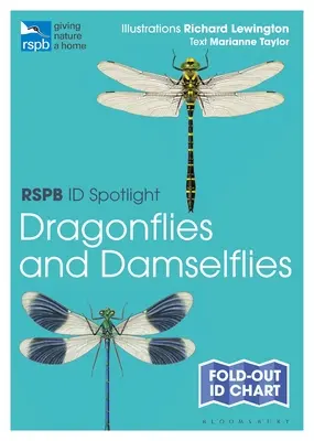 Rspb Id Spotlight - Ważki i chruściki - Rspb Id Spotlight - Dragonflies and Damselflies