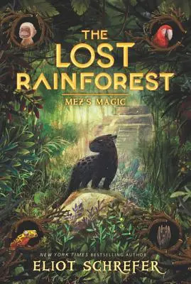 Zaginiony las deszczowy: Magia Meza - The Lost Rainforest: Mez's Magic