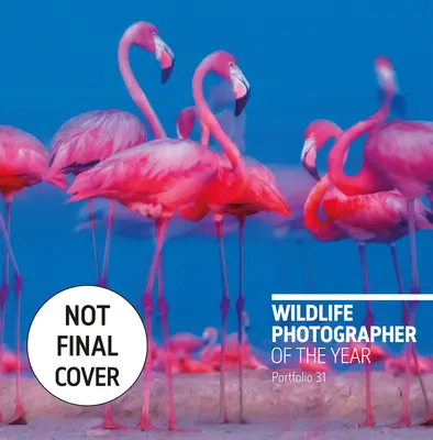 Fotograf dzikiej przyrody roku: Portfolio 31, 31 - Wildlife Photographer of the Year: Portfolio 31, 31