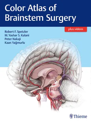 Kolorowy atlas chirurgii pnia mózgu - Color Atlas of Brainstem Surgery