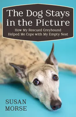 Pies pozostaje na zdjęciu: Jak mój uratowany chart pomógł mi poradzić sobie z pustym gniazdem - The Dog Stays in the Picture: How My Rescued Greyhound Helped Me Cope with My Empty Nest