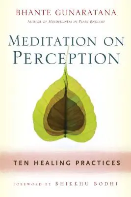 Medytacja nad percepcją: Dziesięć uzdrawiających praktyk kultywowania uważności - Meditation on Perception: Ten Healing Practices to Cultivate Mindfulness