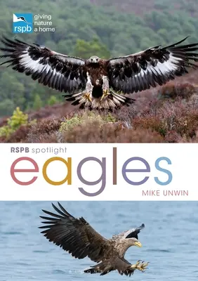 RSPB Spotlight: Orły - RSPB Spotlight: Eagles