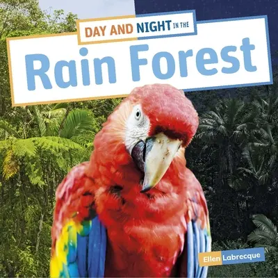 Dzień i noc w lesie deszczowym - Day and Night in the Rain Forest