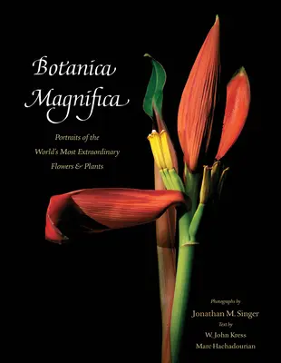 Botanica Magnifica: Portrety najbardziej niezwykłych kwiatów i roślin na świecie - Botanica Magnifica: Portraits of the World's Most Extraordinary Flowers and Plants