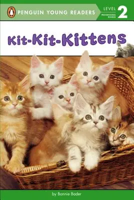 Kit-Kit-Kocięta - Kit-Kit-Kittens