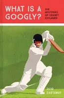 Co to jest Googly? - Tajemnice krykieta wyjaśnione - What is a Googly? - The Mysteries of Cricket Explained