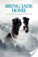 Bring Jade Home: Prawdziwa historia psa zaginionego w Yellowstone - Bring Jade Home: The True Story of a Dog Lost in Yellowstone