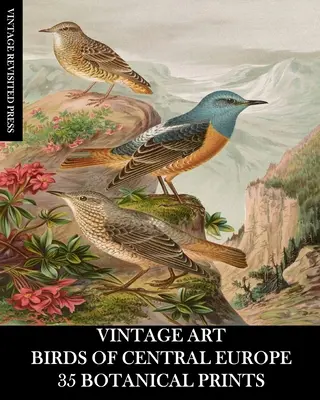 Vintage Art: Ptaki Europy Środkowej: 35 odbitek botanicznych - Vintage Art: Birds of Central Europe: 35 Botanical Prints