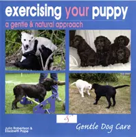 Ćwiczenia dla szczeniąt - Exercising Your Puppy