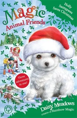 Magiczni przyjaciele zwierząt: Holly Santapaws ratuje święta - Special 5 - Magic Animal Friends: Holly Santapaws Saves Christmas - Special 5