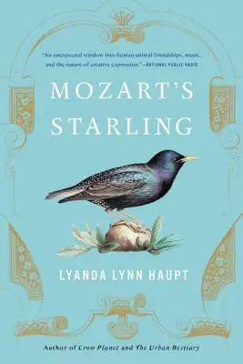 Szpak Mozarta - Mozart's Starling