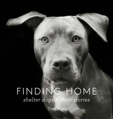 Finding Home: Shelter Dogs and Their Stories (Fotograficzny hołd dla psów ratowniczych) - Finding Home: Shelter Dogs and Their Stories (a Photographic Tribute to Rescue Dogs)