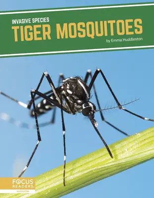 Komary tygrysie - Tiger Mosquitoes