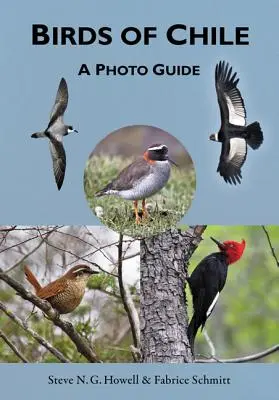 Ptaki Chile: Przewodnik fotograficzny - Birds of Chile: A Photo Guide