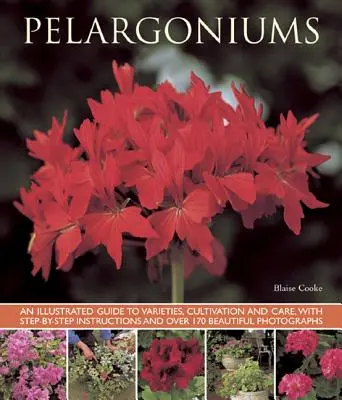 Pelargonie: Ilustrowany przewodnik po odmianach, uprawie i pielęgnacji, z instrukcjami krok po kroku i ponad 170 pięknymi zdjęciami - Pelargoniums: An Illustrated Guide to Varieties, Cultivation and Care, with Step-By-Step Instructions and Over 170 Beautiful Photogr