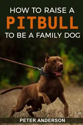 Jak wychować Pitbulla na psa rodzinnego? - How To Raise A Pitbull To Be A Familly Dog