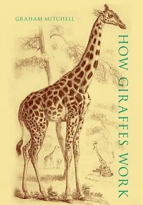 Jak działają żyrafy - How Giraffes Work