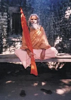 Dandi Swami: Historia Woli Guru, Maharishi Mahesh Yogi, Shankaracharyas of Jyotir Math, & Spotkania z Dandi Swami N - Dandi Swami: The Story of the Guru's Will, Maharishi Mahesh Yogi, the Shankaracharyas of Jyotir Math, & Meetings with Dandi Swami N