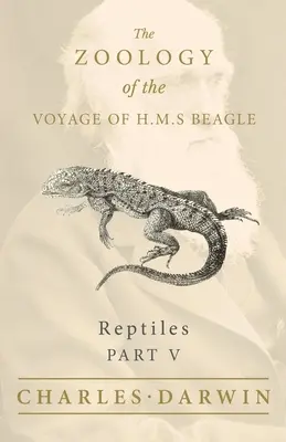 Gady - Część V - Zoologia podróży statku H.M.S Beagle - Reptiles - Part V - The Zoology of the Voyage of H.M.S Beagle