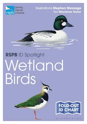 Rspb Id Spotlight - Ptaki terenów podmokłych - Rspb Id Spotlight - Wetland Birds