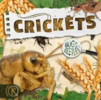 Świerszcze - Crickets