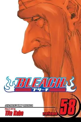 Bleach, tom 58, 58 - Bleach, Vol. 58, 58