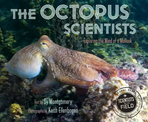 Naukowcy od ośmiornic - The Octopus Scientists