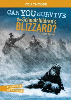 Czy przetrwasz zamieć dla uczniów? Interaktywna przygoda z historią - Can You Survive the Schoolchildren's Blizzard?: An Interactive History Adventure