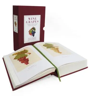 Wine Grapes: Kompletny przewodnik po 1 368 odmianach winorośli, w tym ich pochodzeniu i smakach - Wine Grapes: A Complete Guide to 1,368 Vine Varieties, Including Their Origins and Flavours