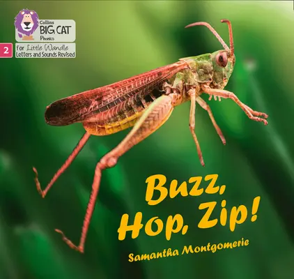 Buzz, Hop, Zip! - Faza 2 - Buzz, Hop, Zip! - Phase 2