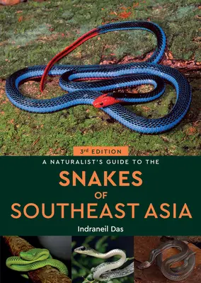 Przewodnik przyrodnika po wężach Azji Południowo-Wschodniej 3rd - A Naturalist's Guide to the Snakes of Southeast Asia 3rd