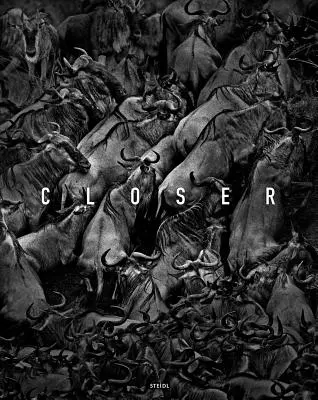 Tomasz Gudzowaty: Bliżej - Tomasz Gudzowaty: Closer