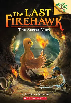 The Secret Maze: A Branches Book (the Last Firehawk #10), 10