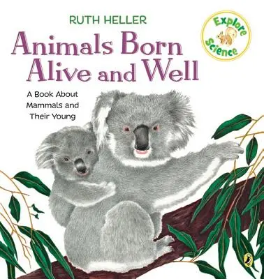 Animals Born Alive and Well: Książka o ssakach - Animals Born Alive and Well: A Book about Mammals