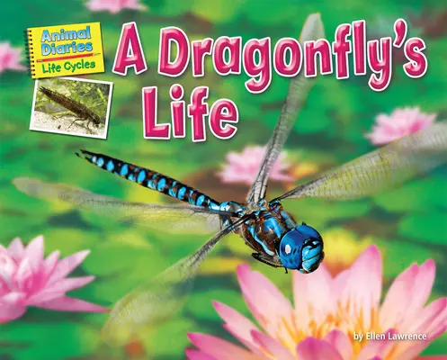 Życie ważki - A Dragonfly's Life