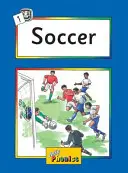 Jolly Phonics Readers, Nonfiction, Level 4 - In Precursive Letters (brytyjskie wydanie angielskie) - Jolly Phonics Readers, Nonfiction, Level 4 - In Precursive Letters (British English edition)