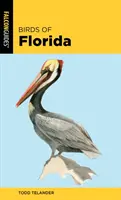 Ptaki Florydy - Birds of Florida