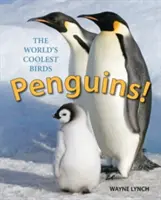 Pingwiny! Najfajniejsze ptaki świata - Penguins!: The World's Coolest Birds