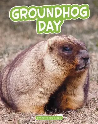 Dzień Świstaka - Groundhog Day