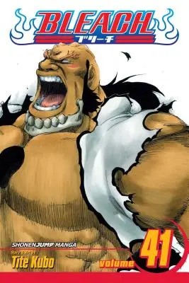 Bleach, tom 41, 41 - Bleach, Vol. 41, 41