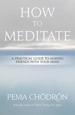 Jak medytować: Praktyczny przewodnik po zaprzyjaźnianiu się z umysłem - How to Meditate: A Practical Guide to Making Friends with Your Mind