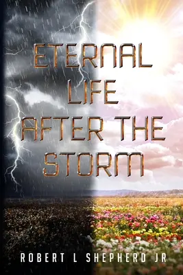 Życie wieczne po burzy: Książka o podróży chrześcijanina od narodzin do życia wiecznego - Eternal Life After The Storm: A Book of a Christian's Journey from Birth to Eternal Life